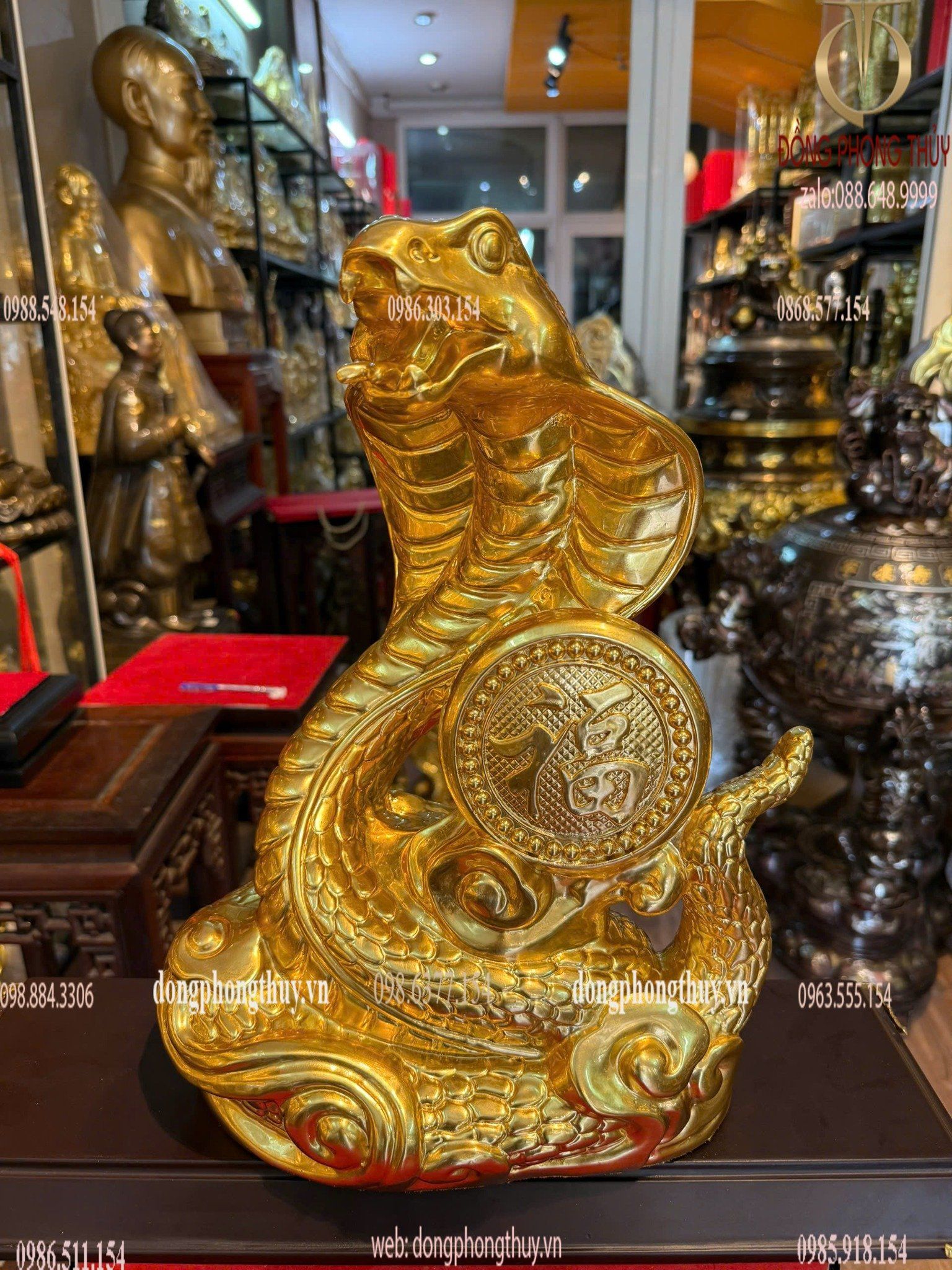 Hình ảnh sản phẩm