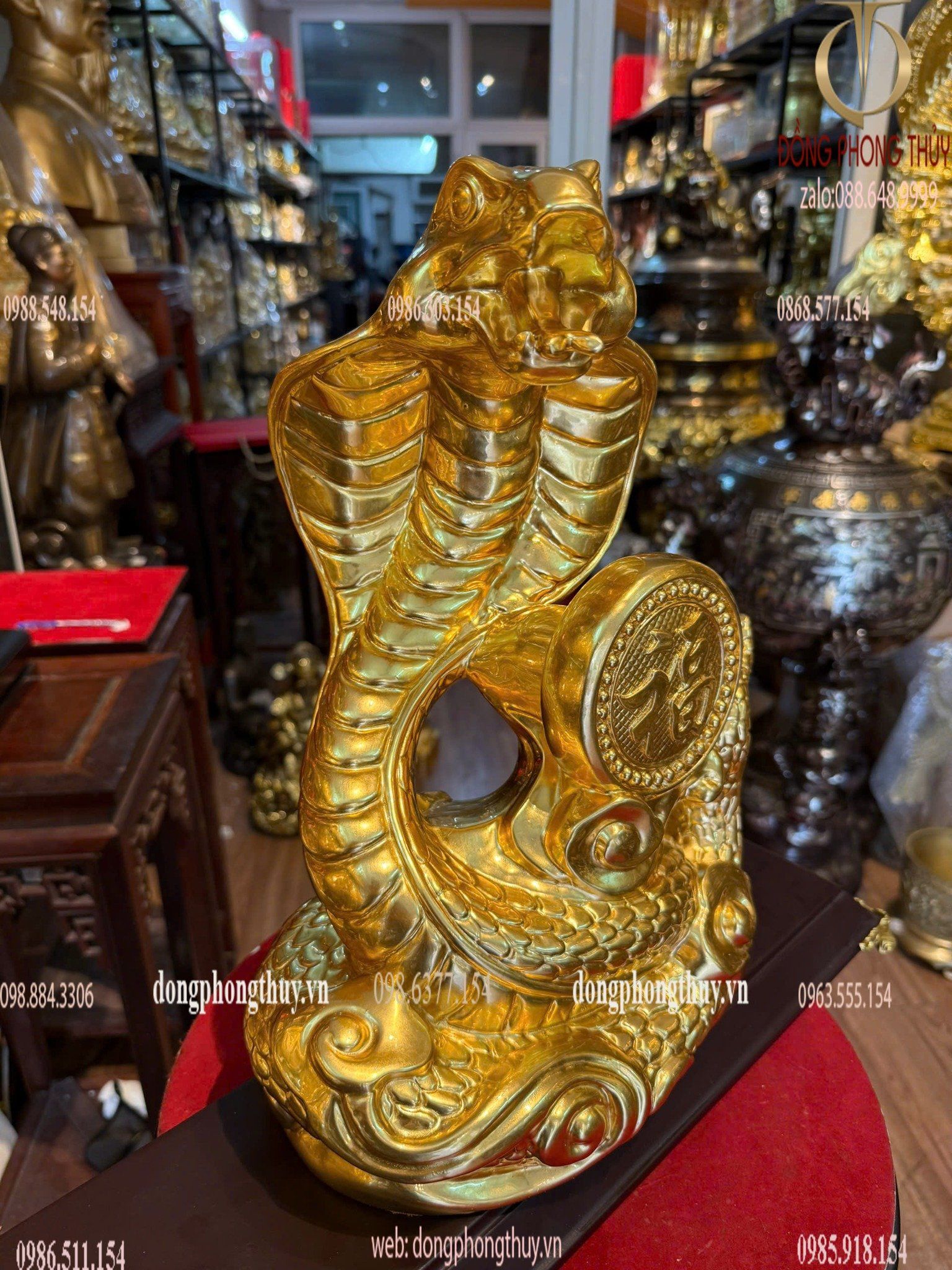 Hình ảnh sản phẩm
