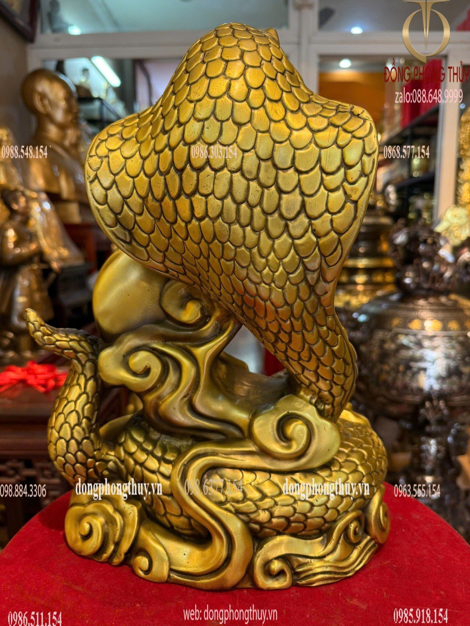 Hình ảnh sản phẩm