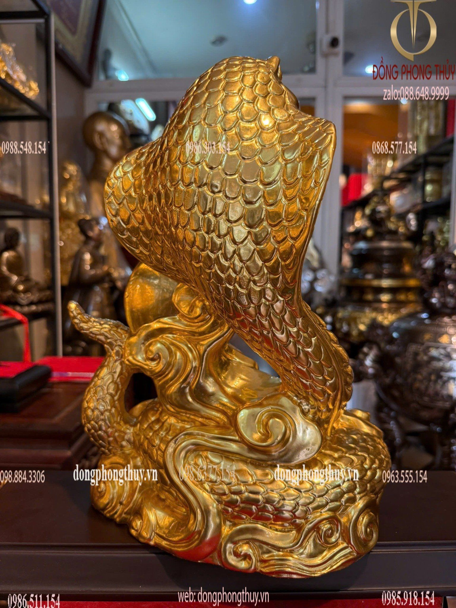 Hình ảnh sản phẩm