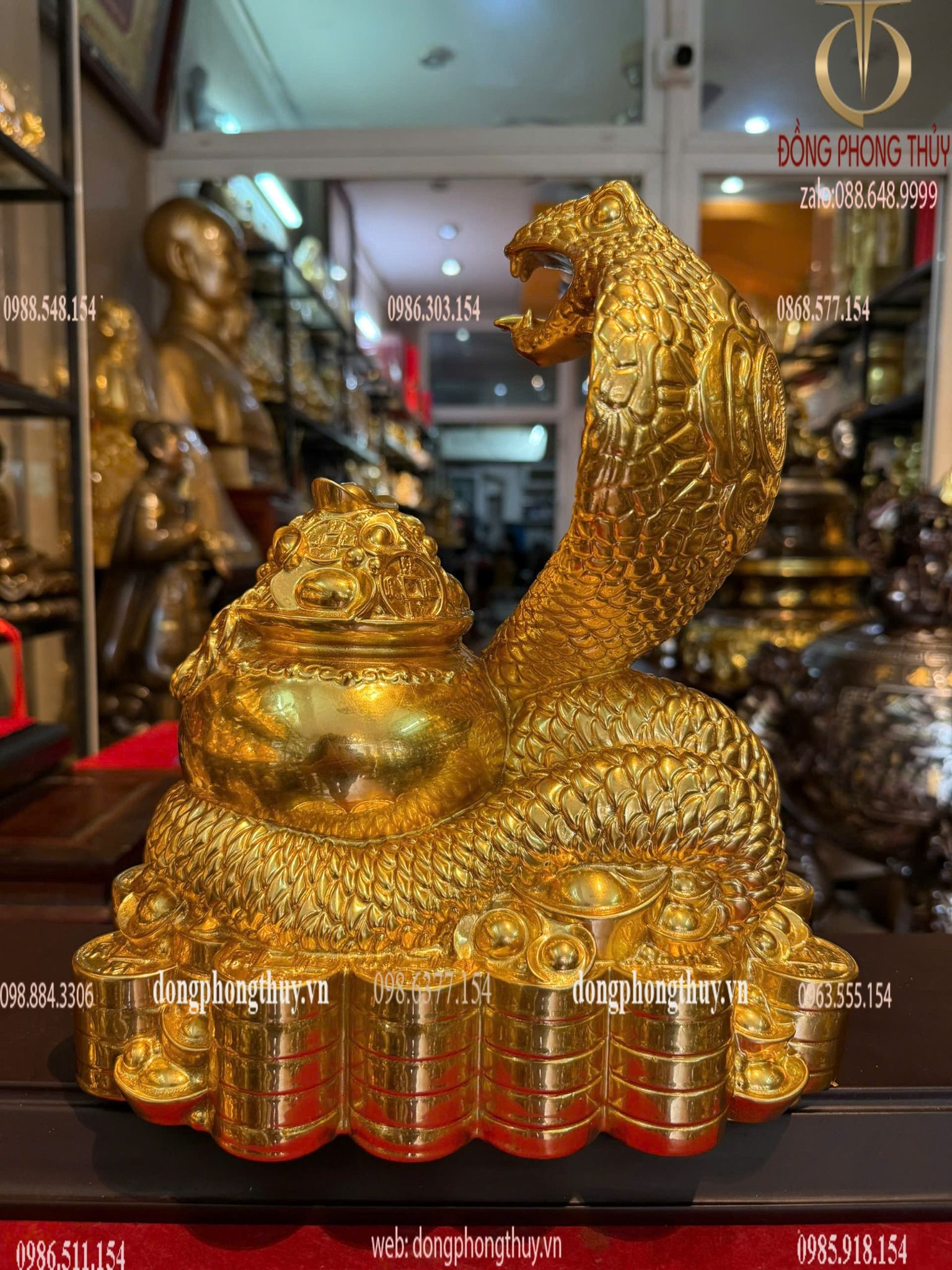 Hình ảnh sản phẩm