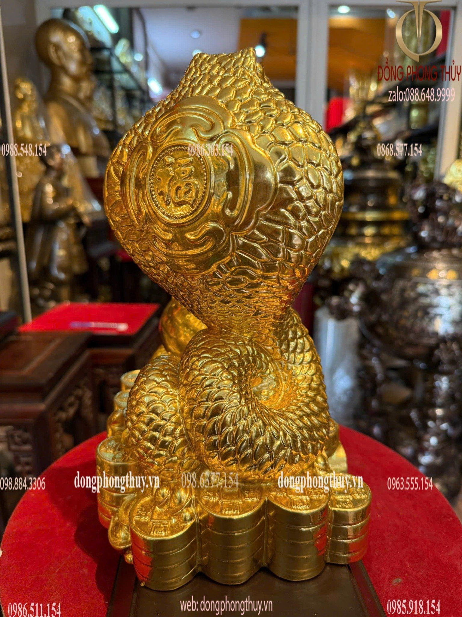 Hình ảnh sản phẩm