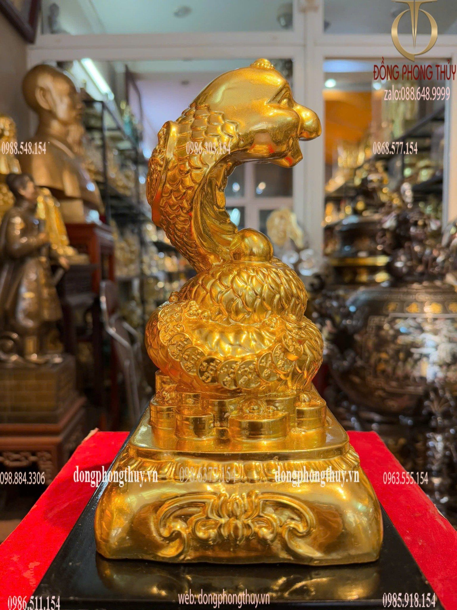 Hình ảnh sản phẩm