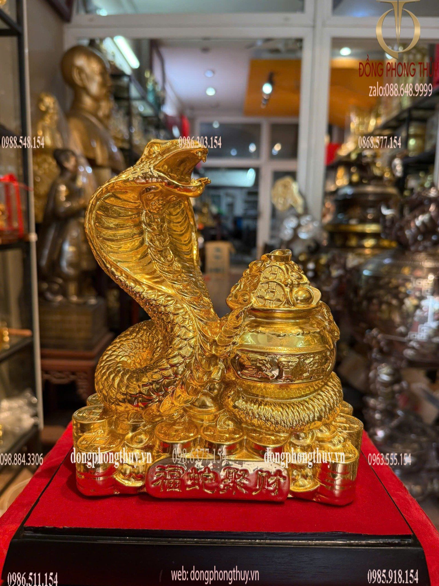 Hình ảnh sản phẩm