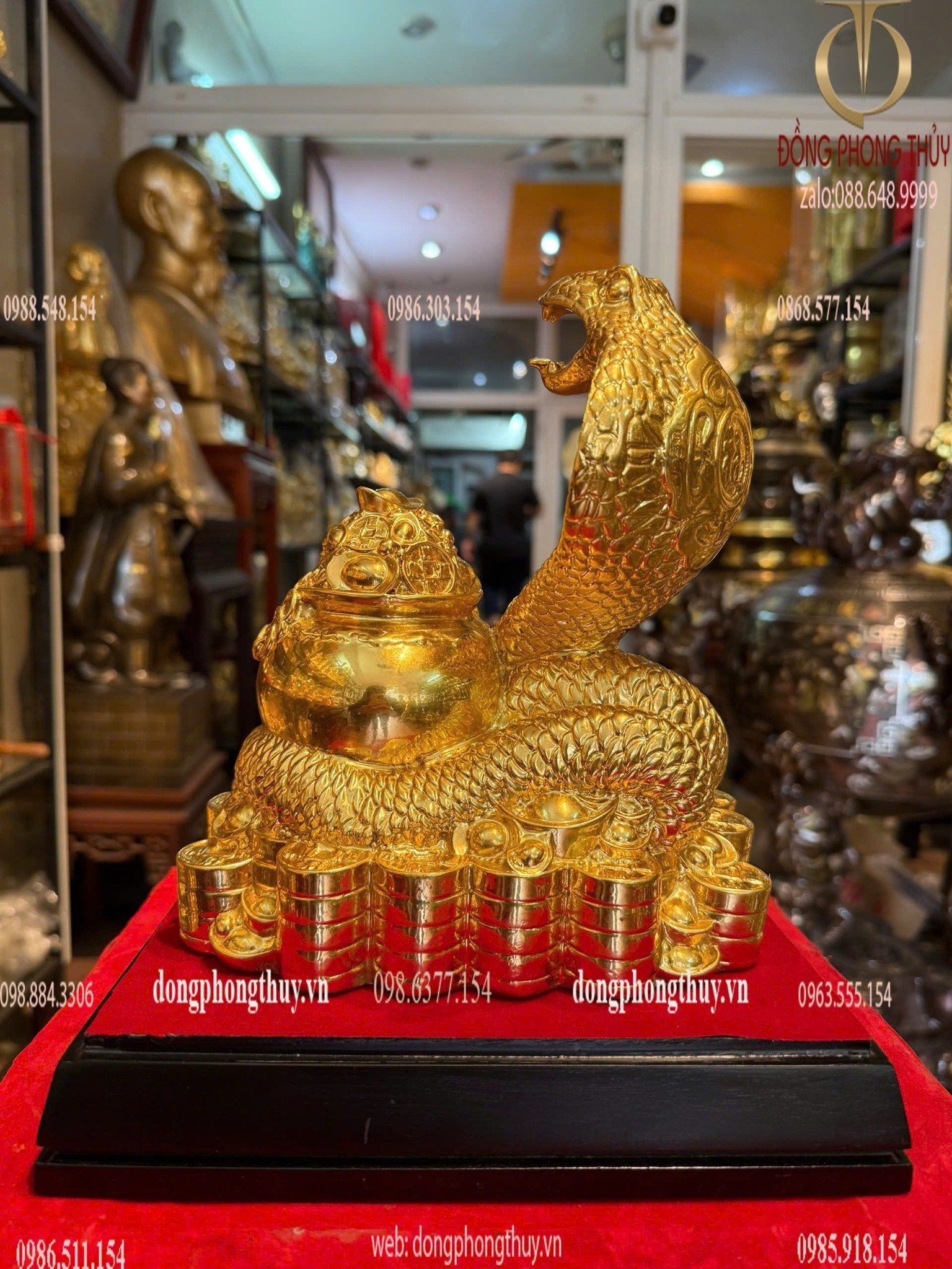 Hình ảnh sản phẩm