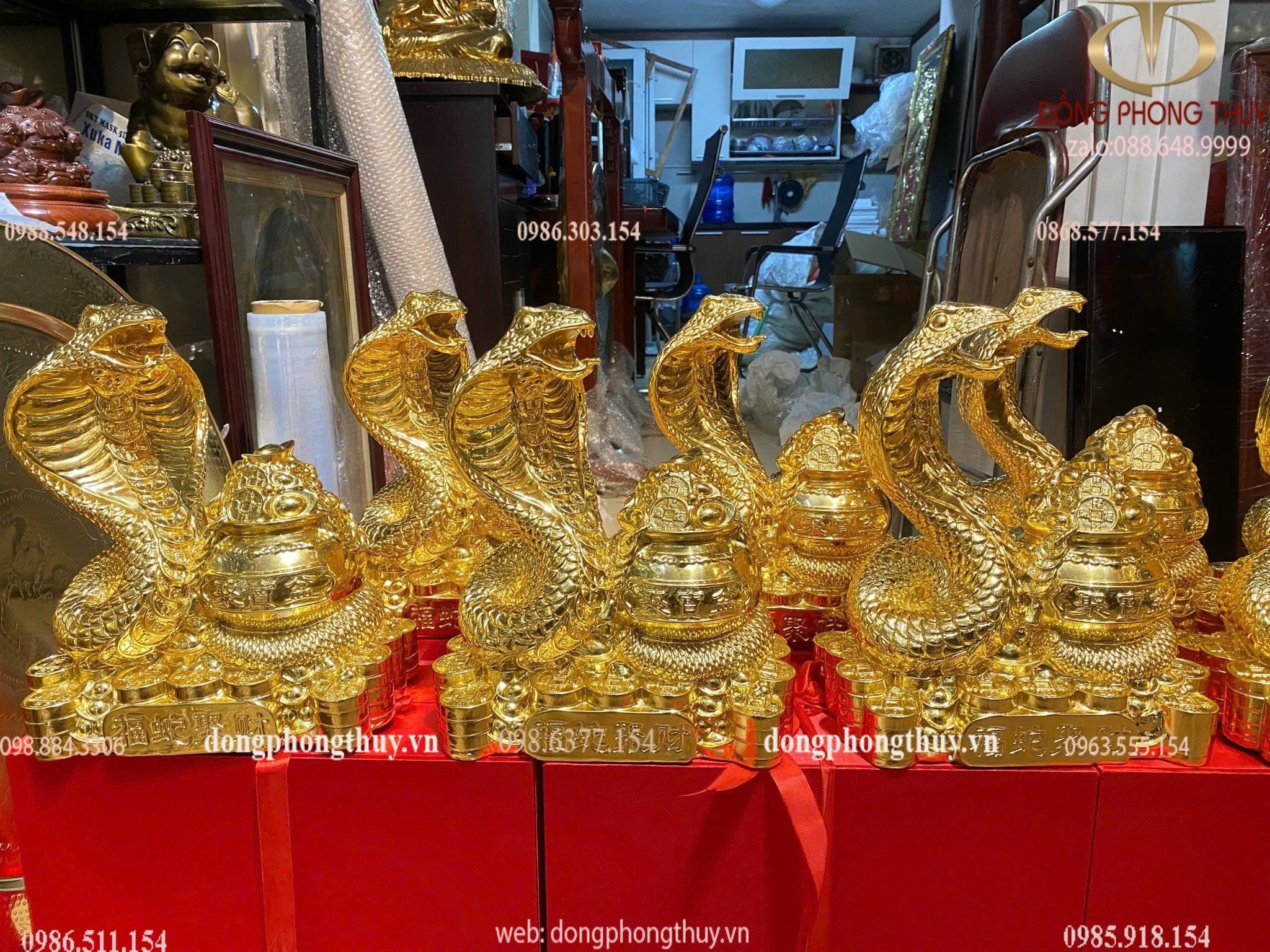 Hình ảnh sản phẩm
