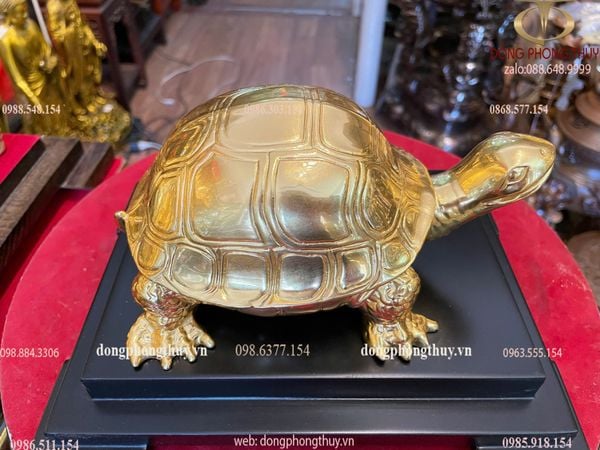 Tượng rùa bằng đồng dát vàng 24K Cao 10 dài 20 ngang 13,5 nặng 900gram