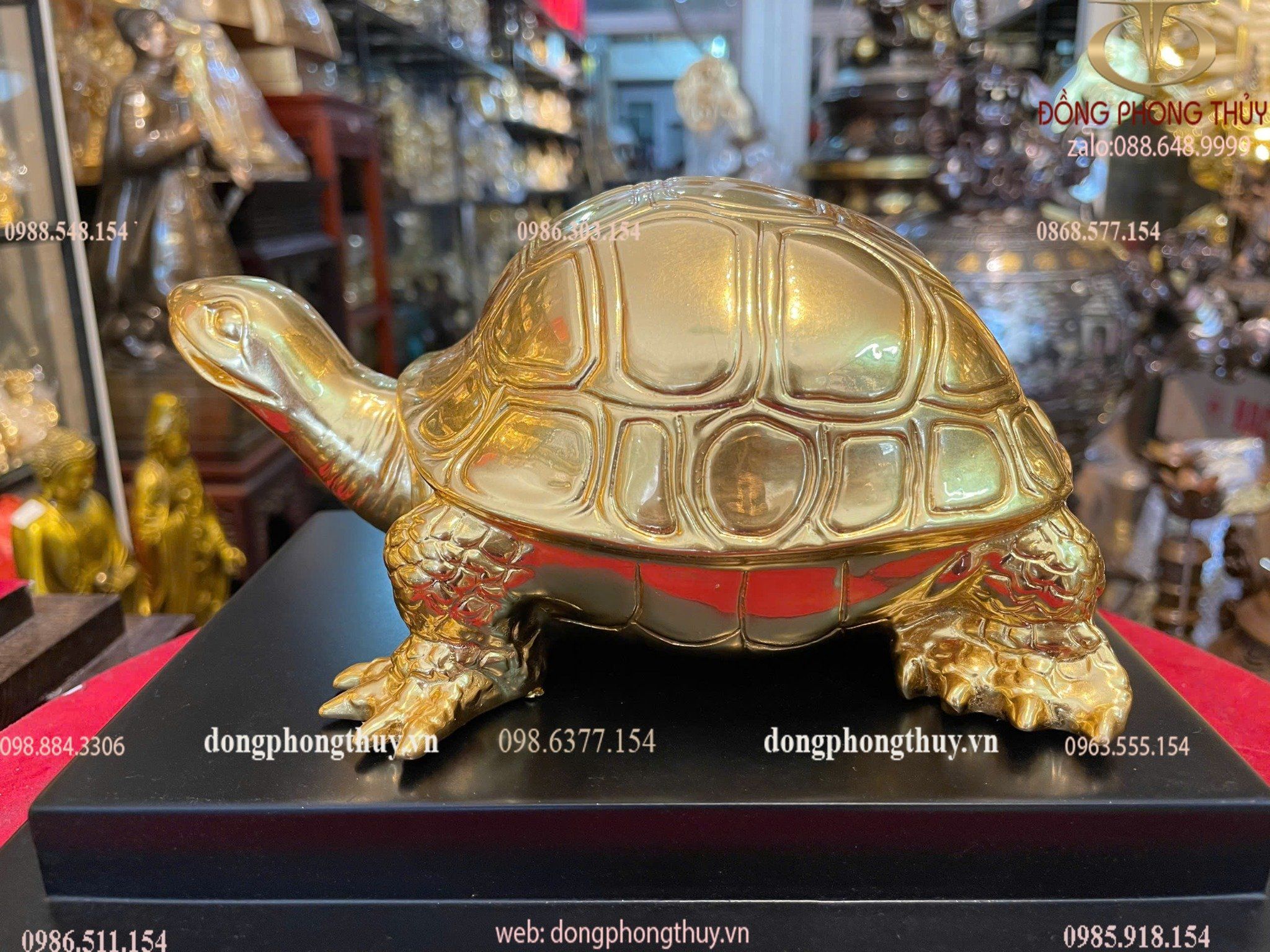 Hình ảnh sản phẩm