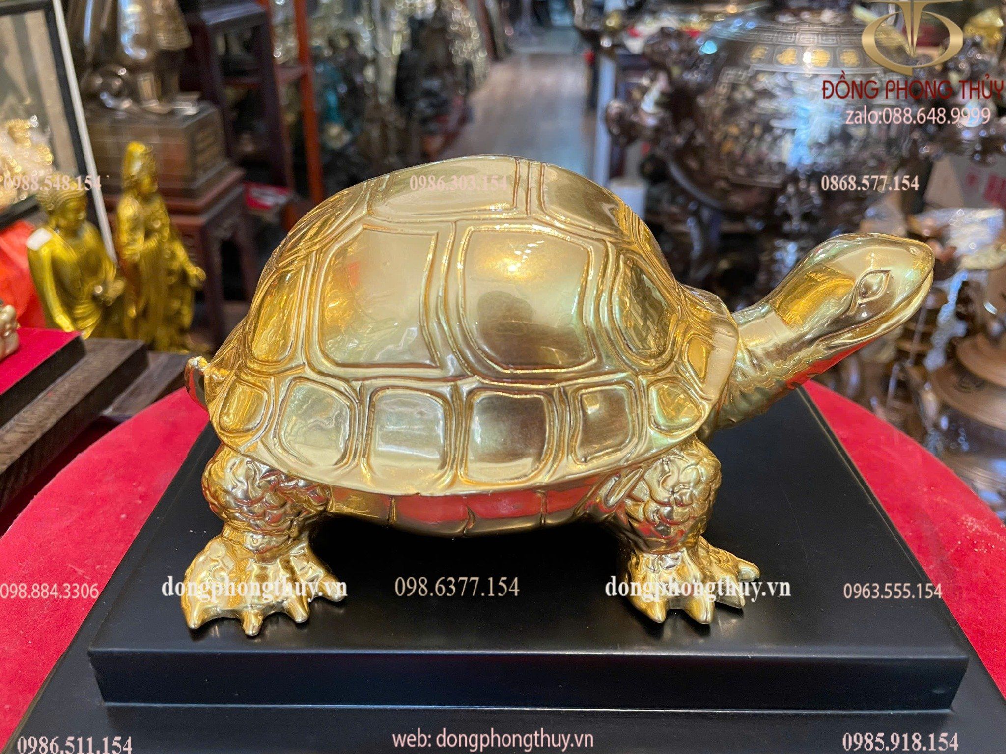Hình ảnh sản phẩm
