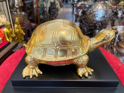 Tượng rùa bằng đồng dát vàng 24K Cao 10 dài 20 ngang 13,5 nặng 900gram