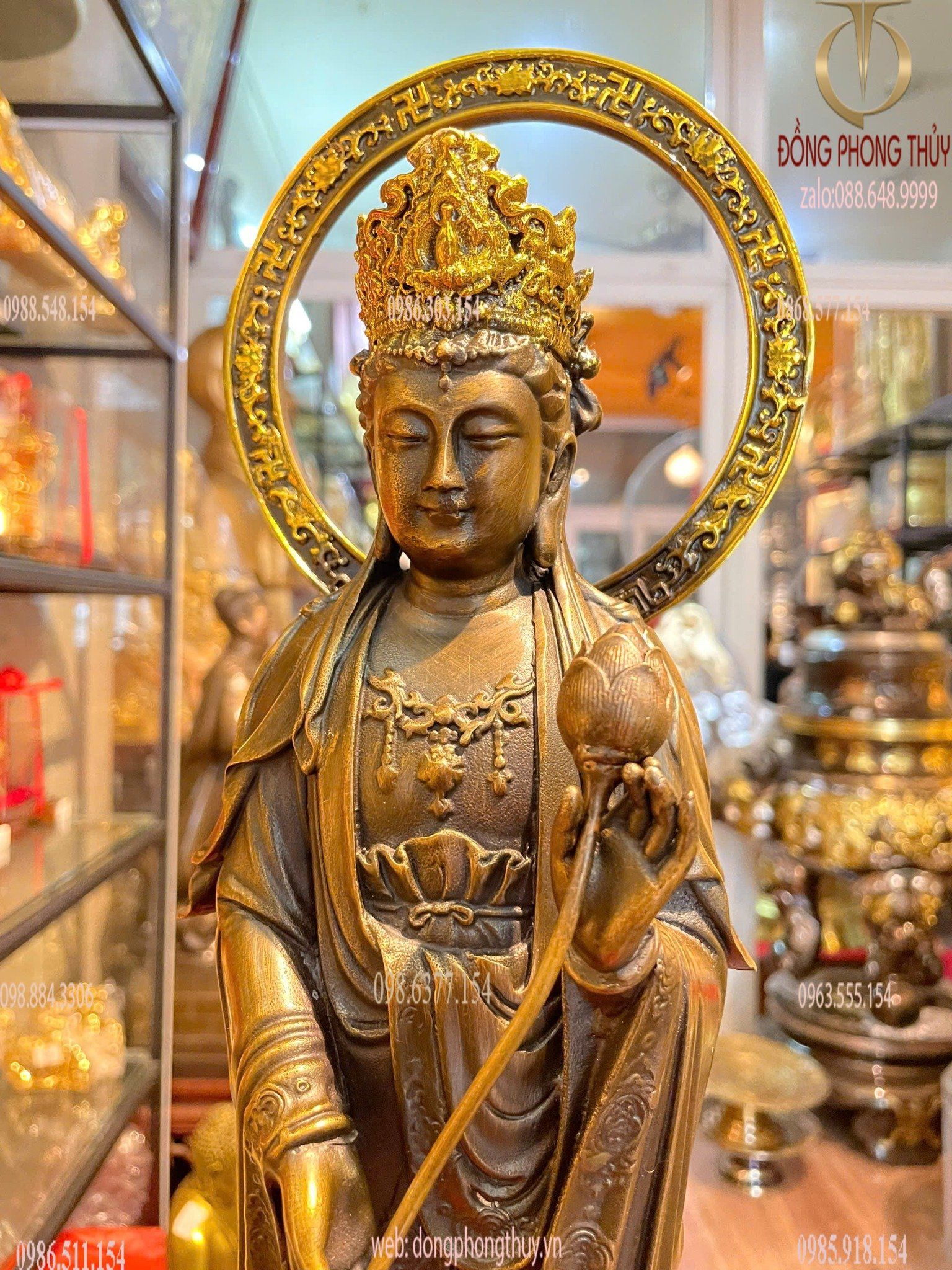 Hình ảnh sản phẩm