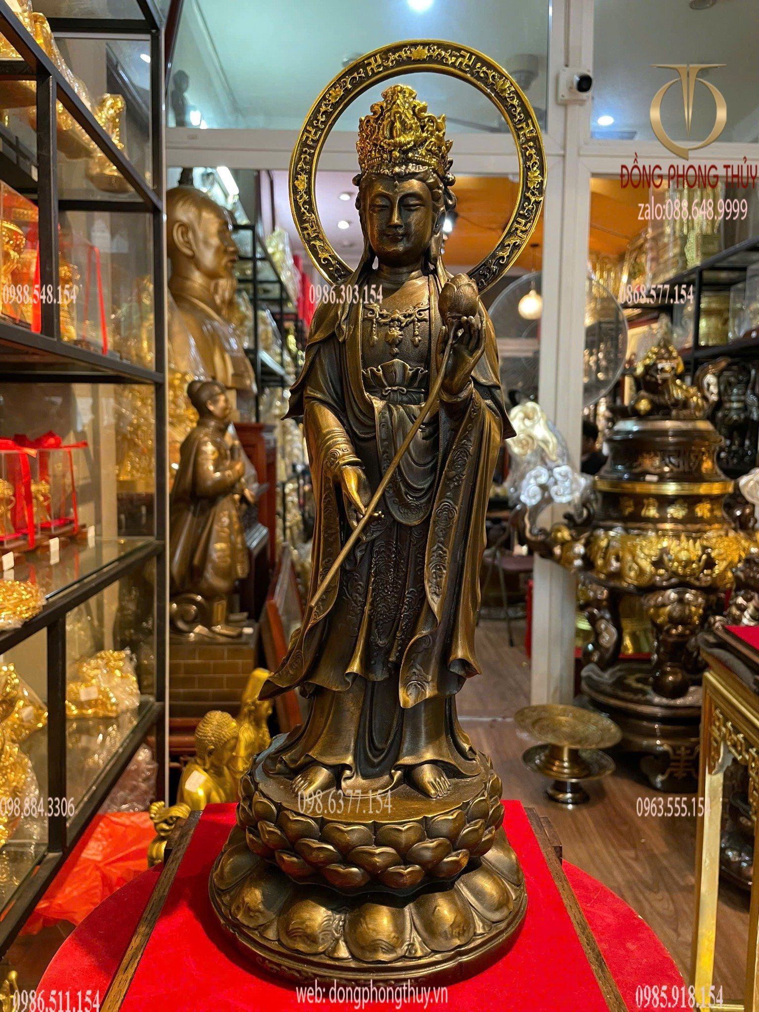 Hình ảnh sản phẩm