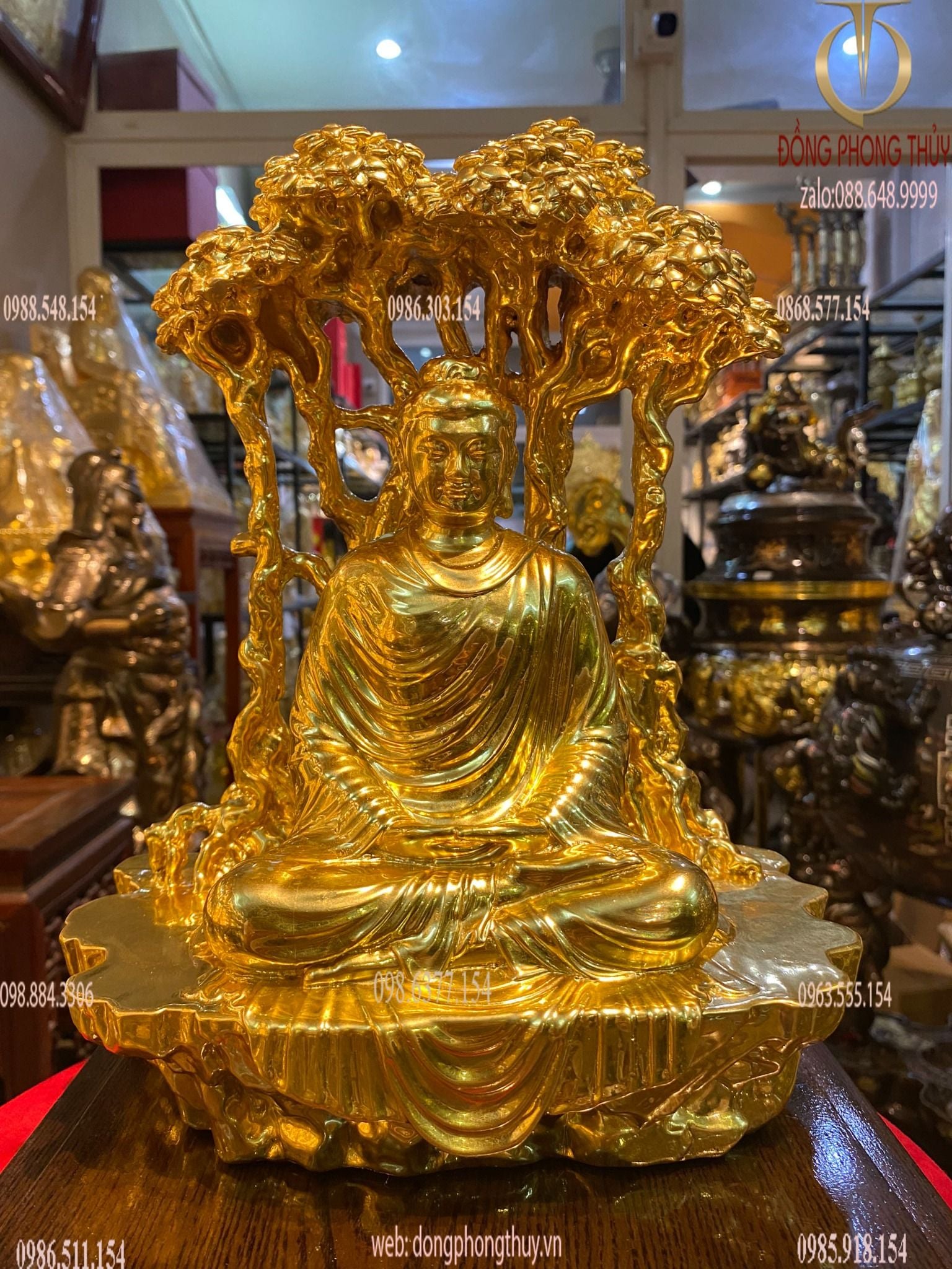 Tượng Thích Ca ngồi gốc tùng dát vàng 24k