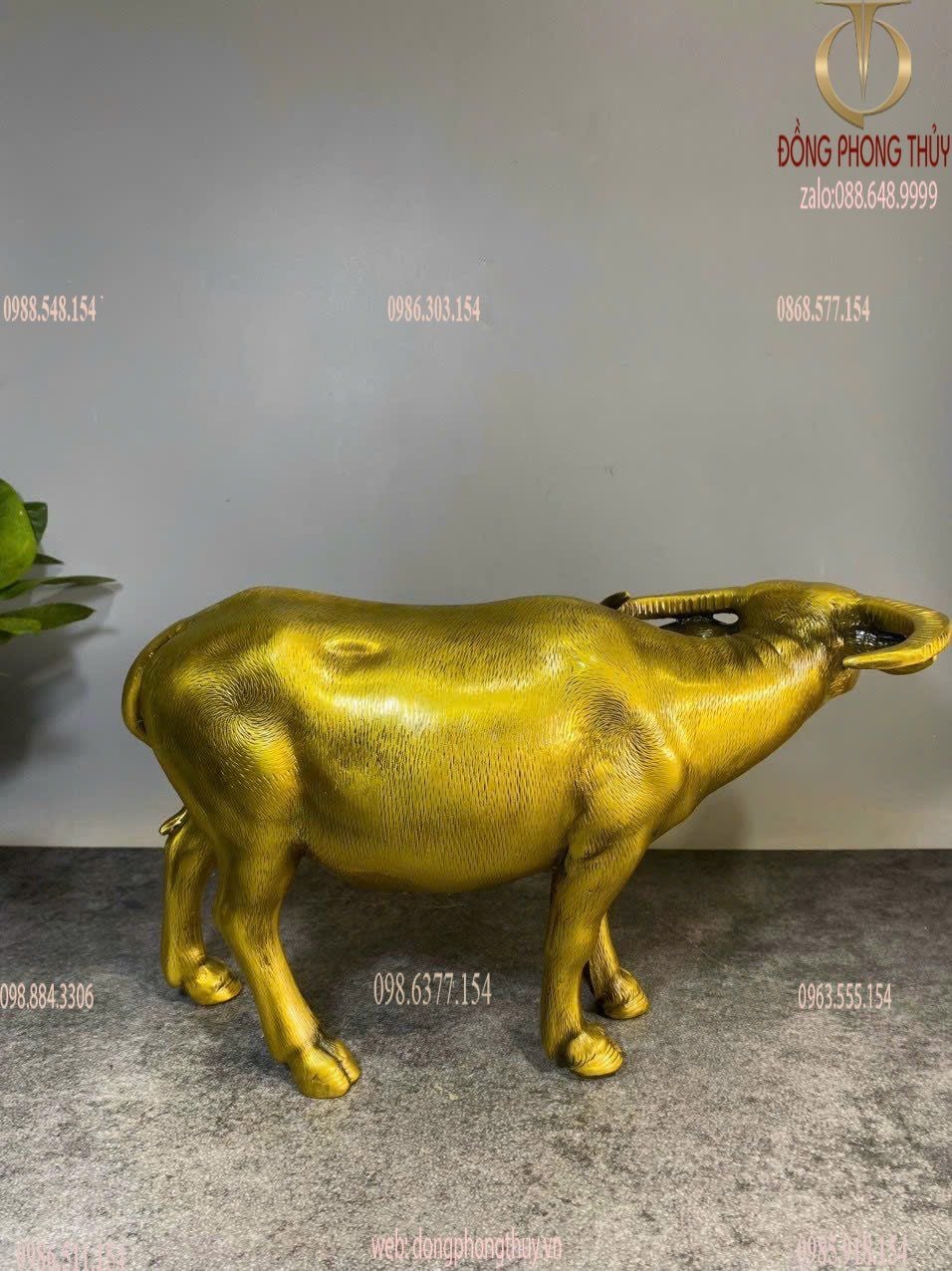 Hình ảnh sản phẩm