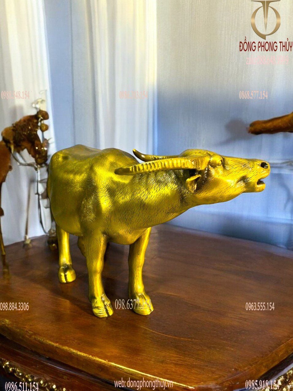 Hình ảnh sản phẩm