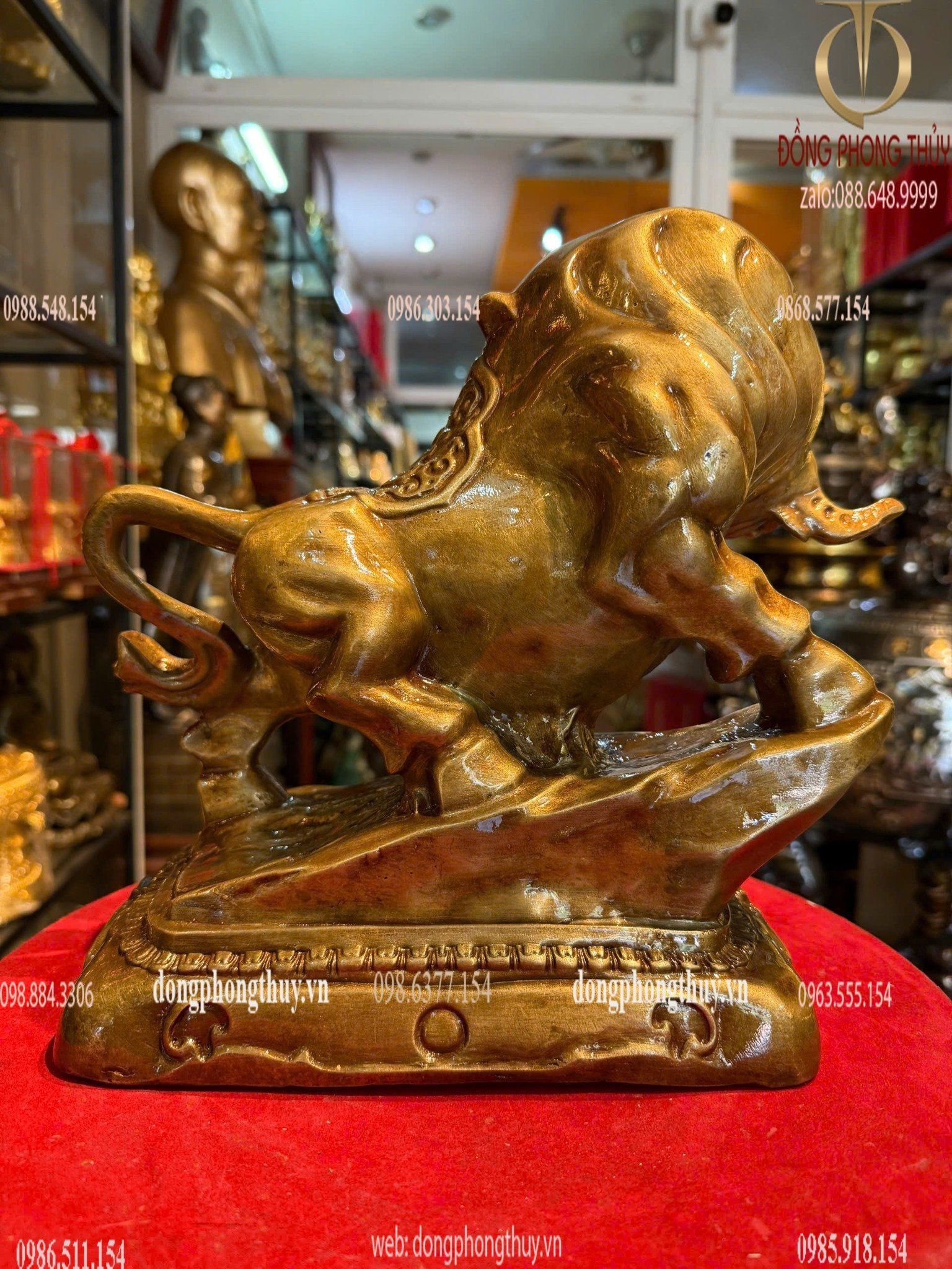 Hình ảnh sản phẩm