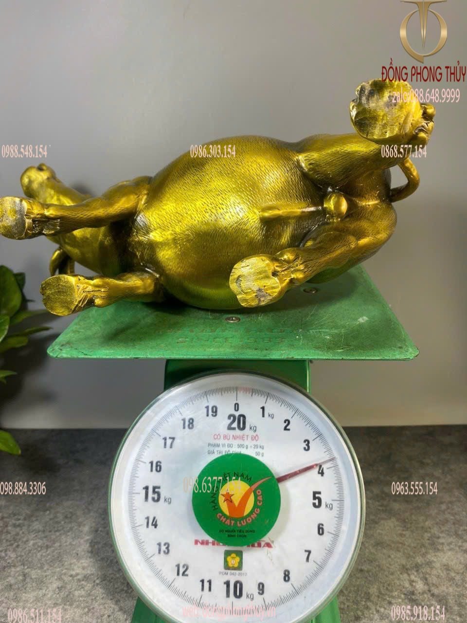 Hình ảnh sản phẩm