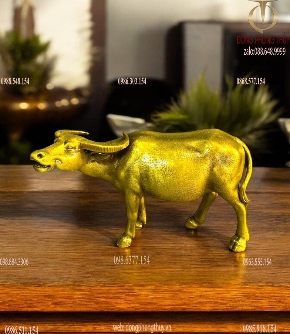 Hình ảnh sản phẩm