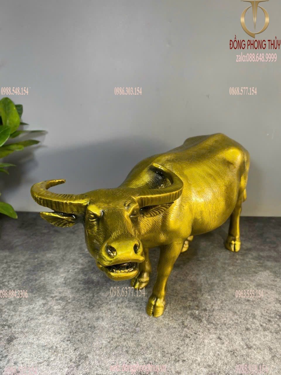 Hình ảnh sản phẩm