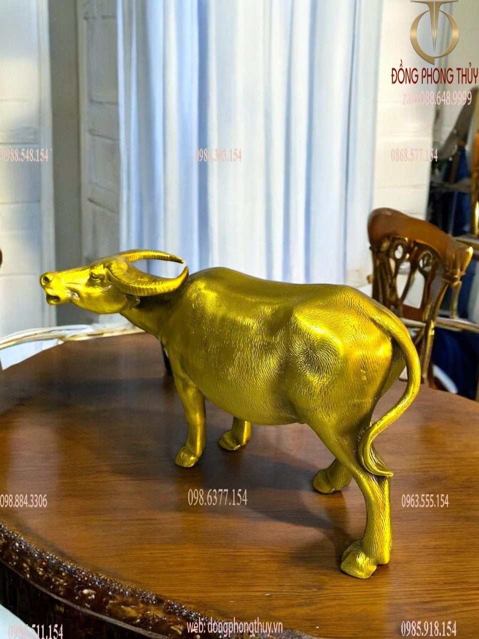 Hình ảnh sản phẩm