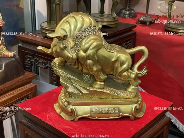 Tượng trâu vàng phong thủy chữ Nho cỡ lớn cao 26cm