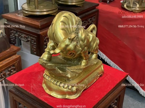 Tượng trâu vàng phong thủy chữ Nho cỡ lớn cao 26cm