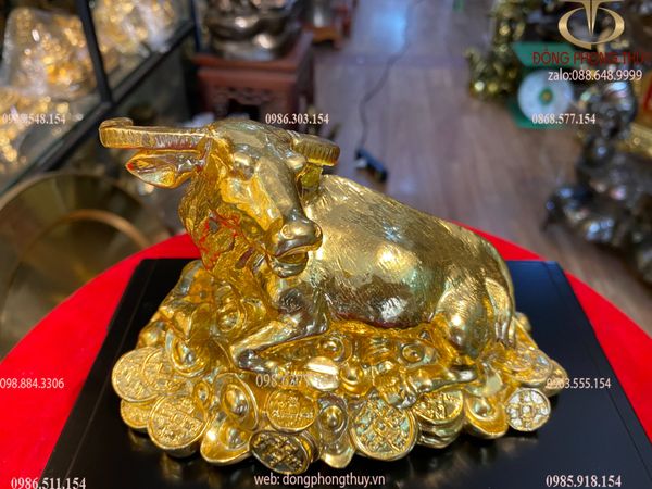 Quà tặng sếp theo tuổi: Tượng trâu vàng nằm đống tiền dát vàng 24k