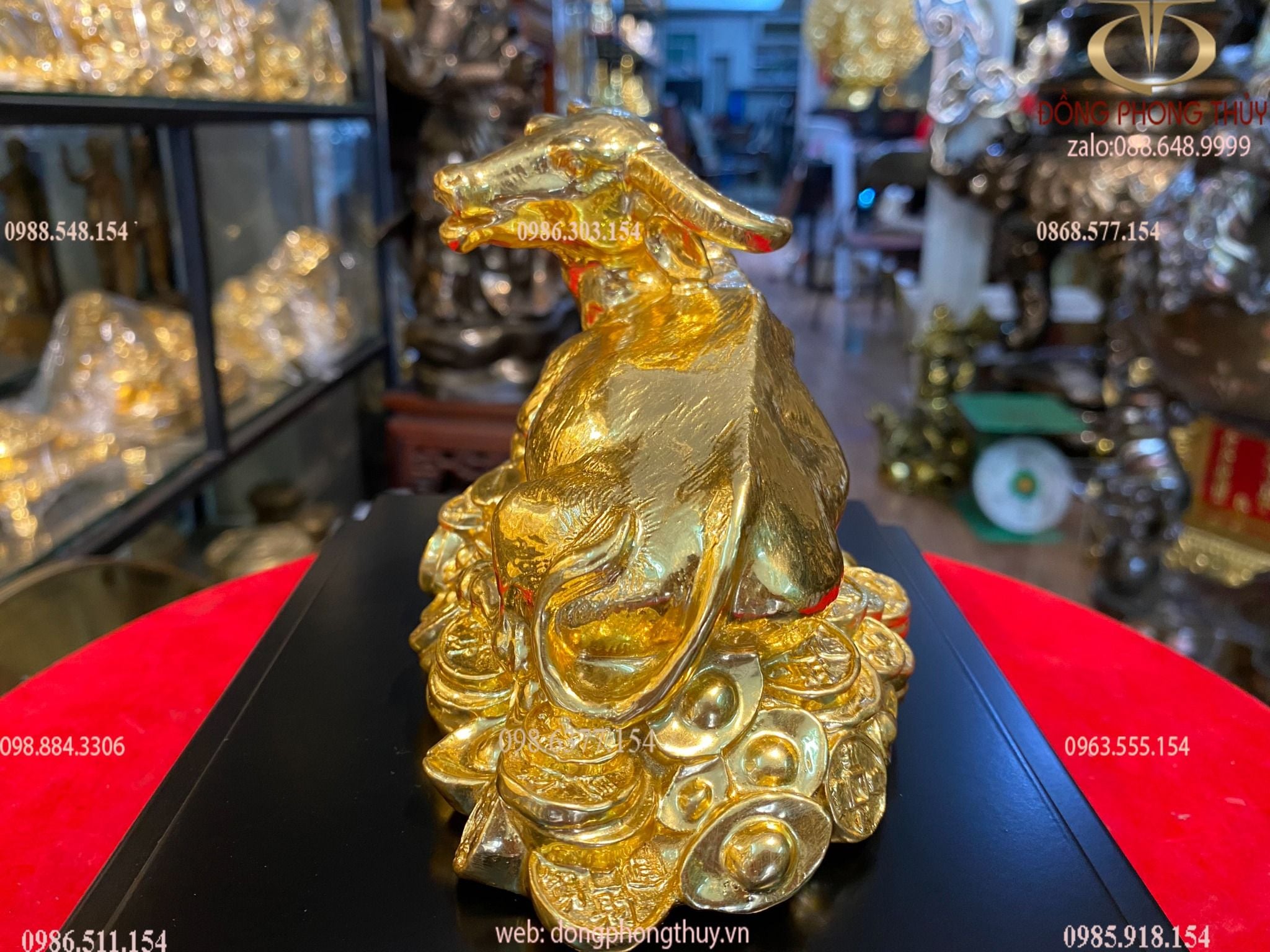Tượng trâu vàng phong thủy nằm đống tiền bằng đồng dát vàng 24k
