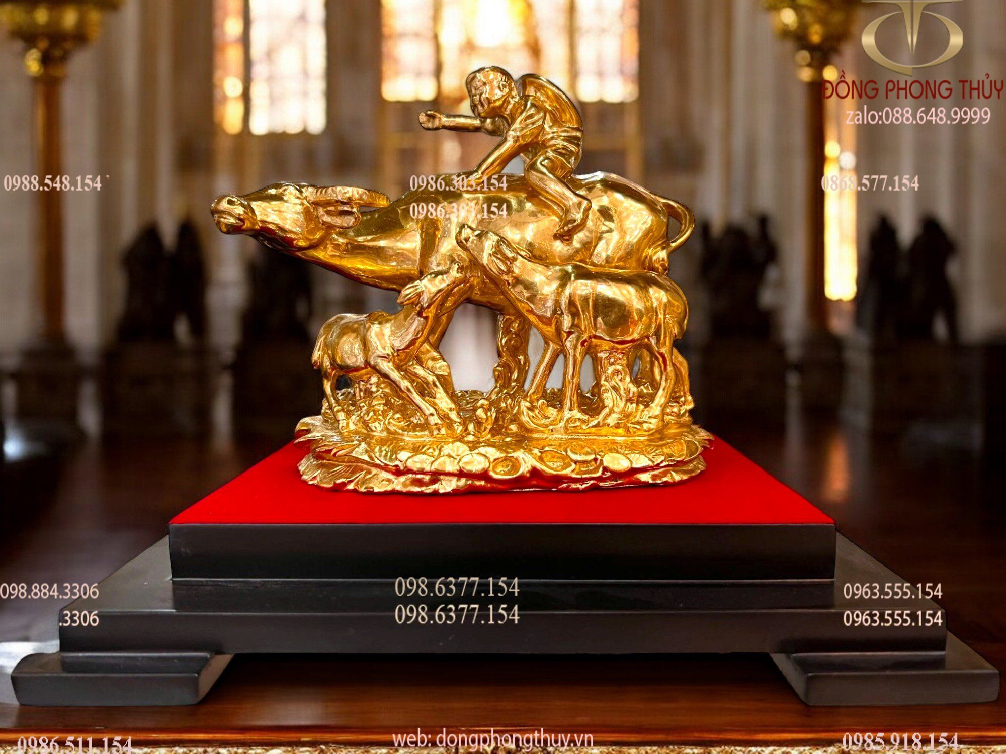 Hình ảnh sản phẩm