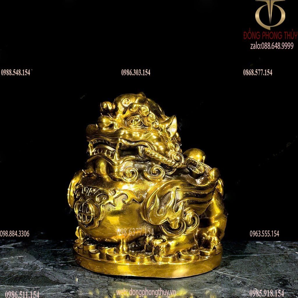 Hình ảnh sản phẩm