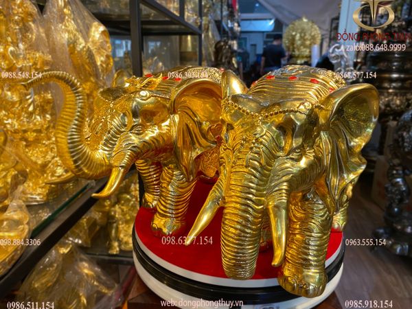 Đôi voi bằng đồng dát vàng 24k