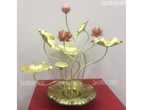 Chậu hoa sen đồng trưng bày Vàng Đỏ - Đế Lá sen Cao 50cm 9 cành