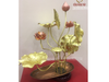 Chậu hoa sen đồng trưng bày Vàng Đỏ - Đế thuyền Cao 50cm 9 cành