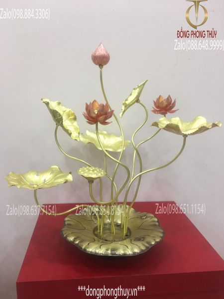 Chậu hoa sen đồng trưng bày Vàng Đỏ - Đế Lá sen Cao 50cm 9 cành