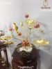 Chậu hoa sen đồng trưng bày Đỏ Vàng - Đế Chậu đồng Cao 55cm ngang 55cm 13 cành