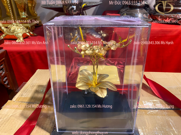 Quà tặng sếp: Chậu hoa lan 3 cành quà tặng mạ vàng 24k