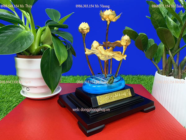 Chậu hoa sen mạ vàng mạ vàng 24k