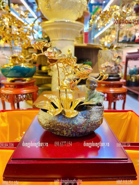 Chậu lan mạ vàng 24k