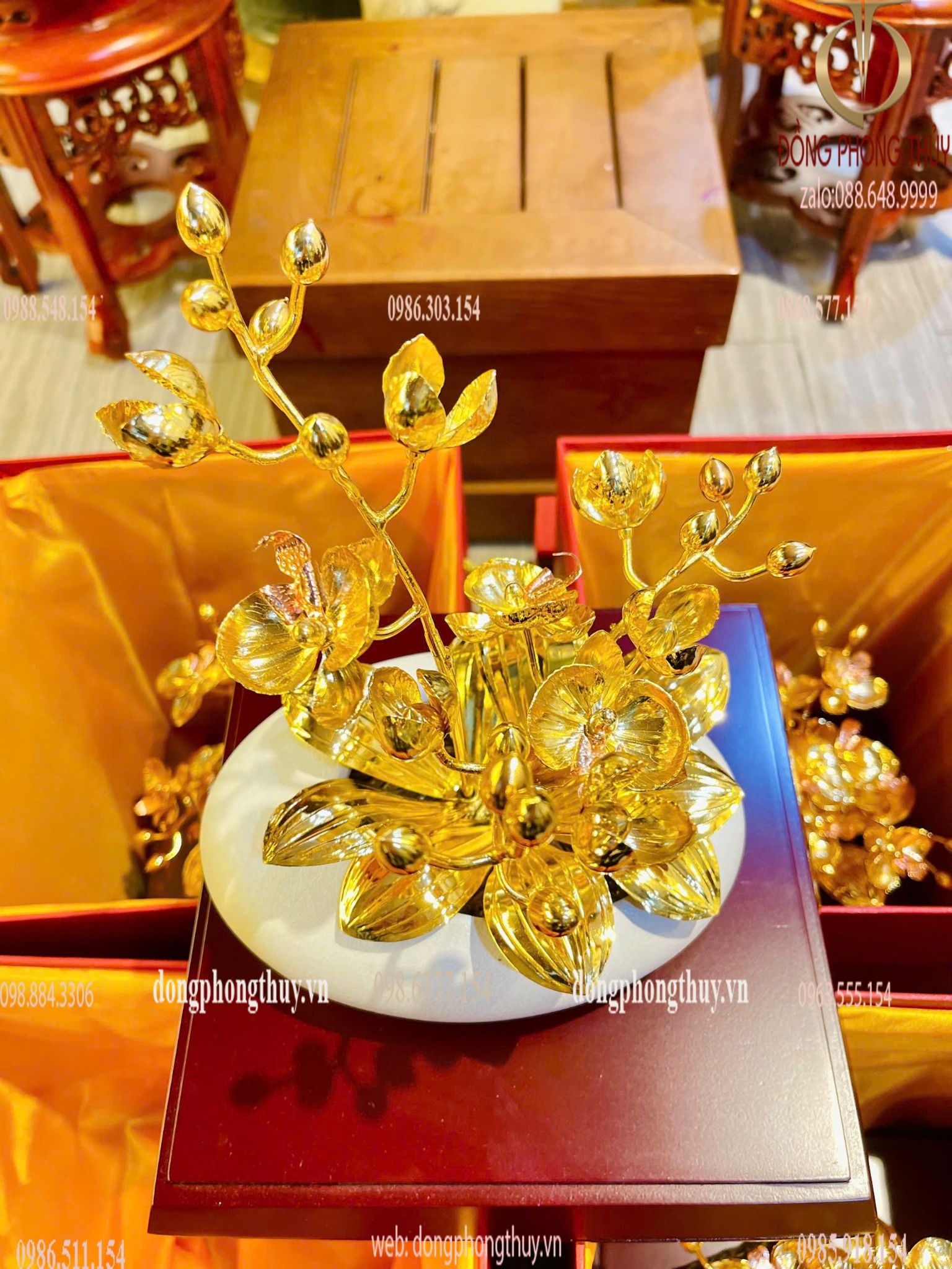 Hình ảnh sản phẩm