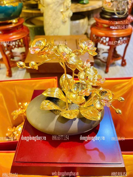 Chậu lan mạ vàng 24k