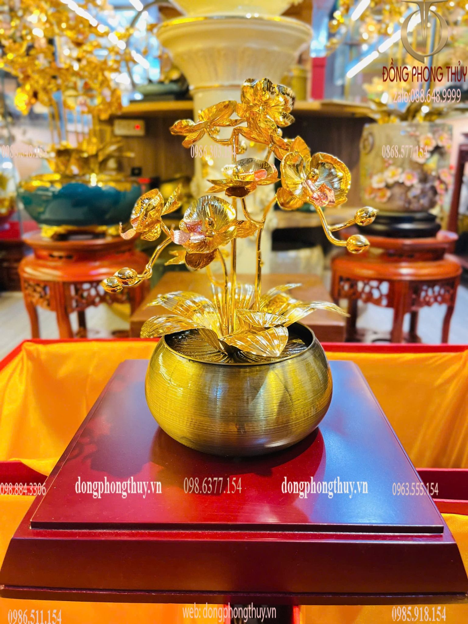 Hình ảnh sản phẩm