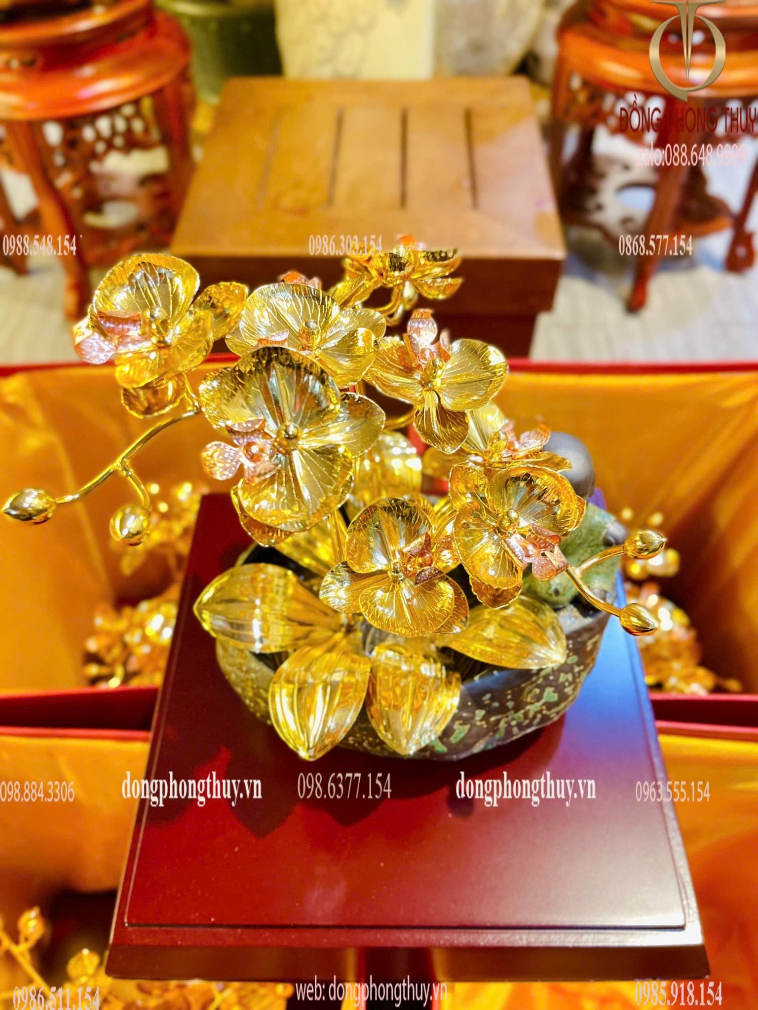 Hình ảnh sản phẩm