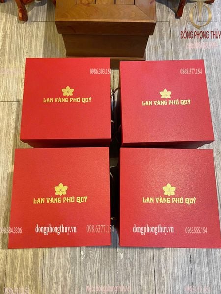 Chậu lan mạ vàng 24k