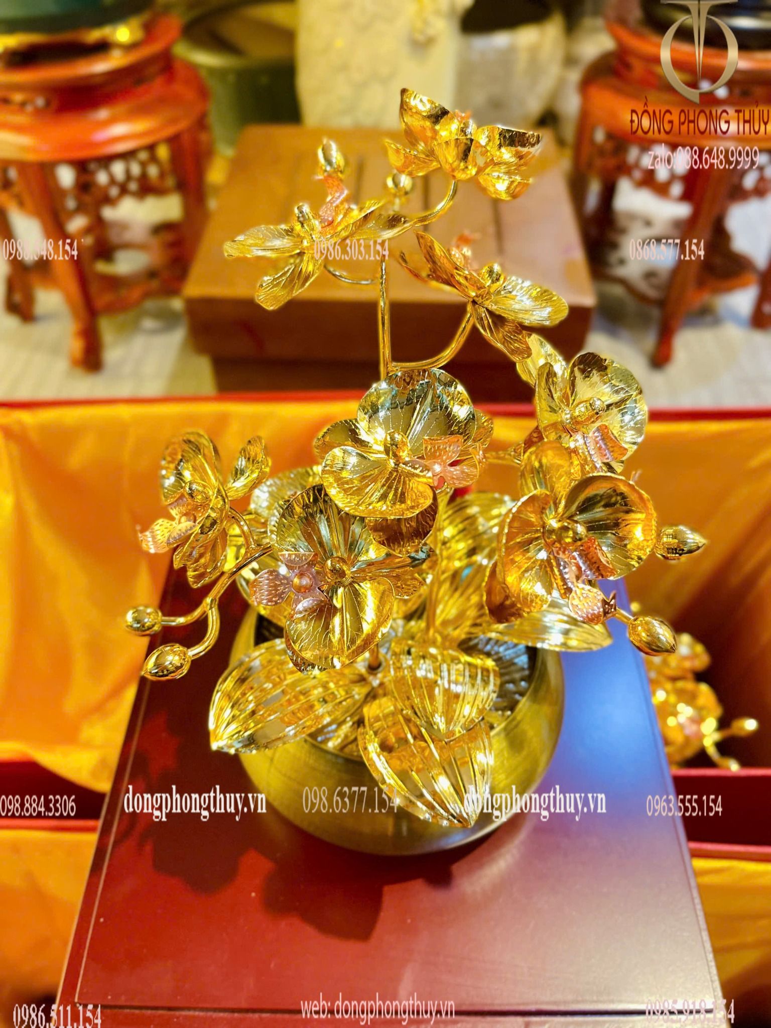 Hình ảnh sản phẩm