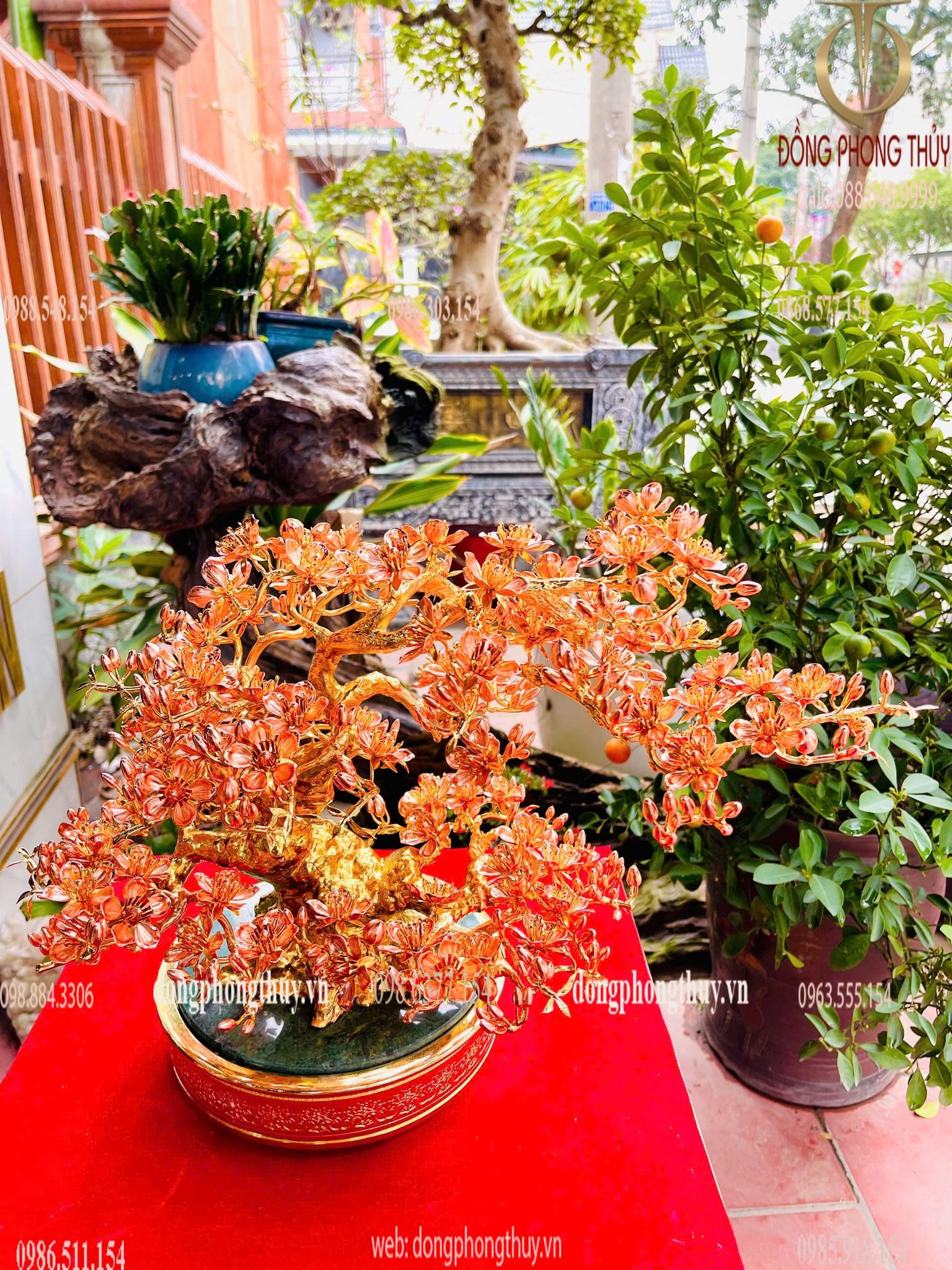 Hình ảnh sản phẩm
