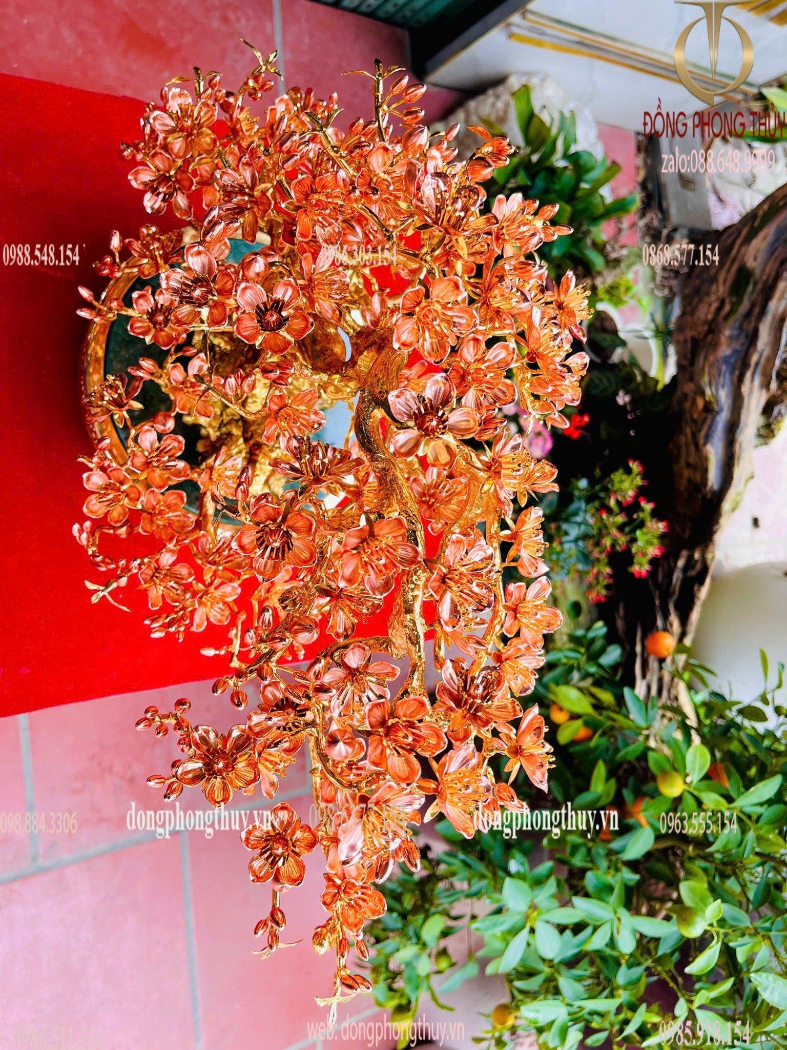 Hình ảnh sản phẩm