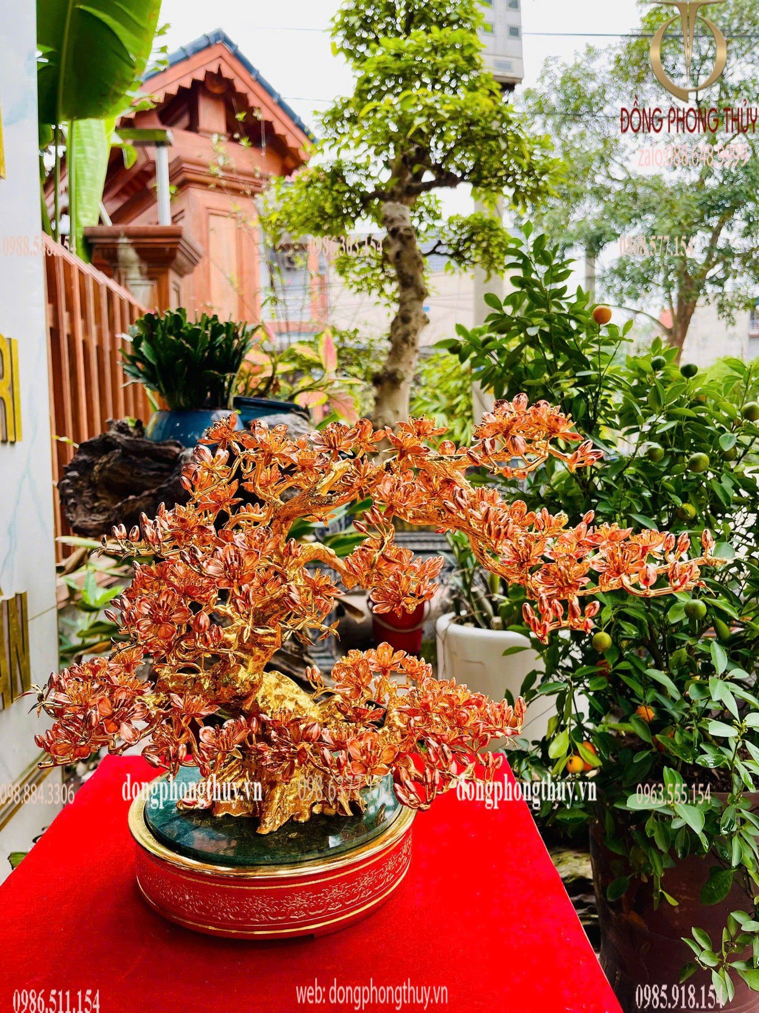 Hình ảnh sản phẩm