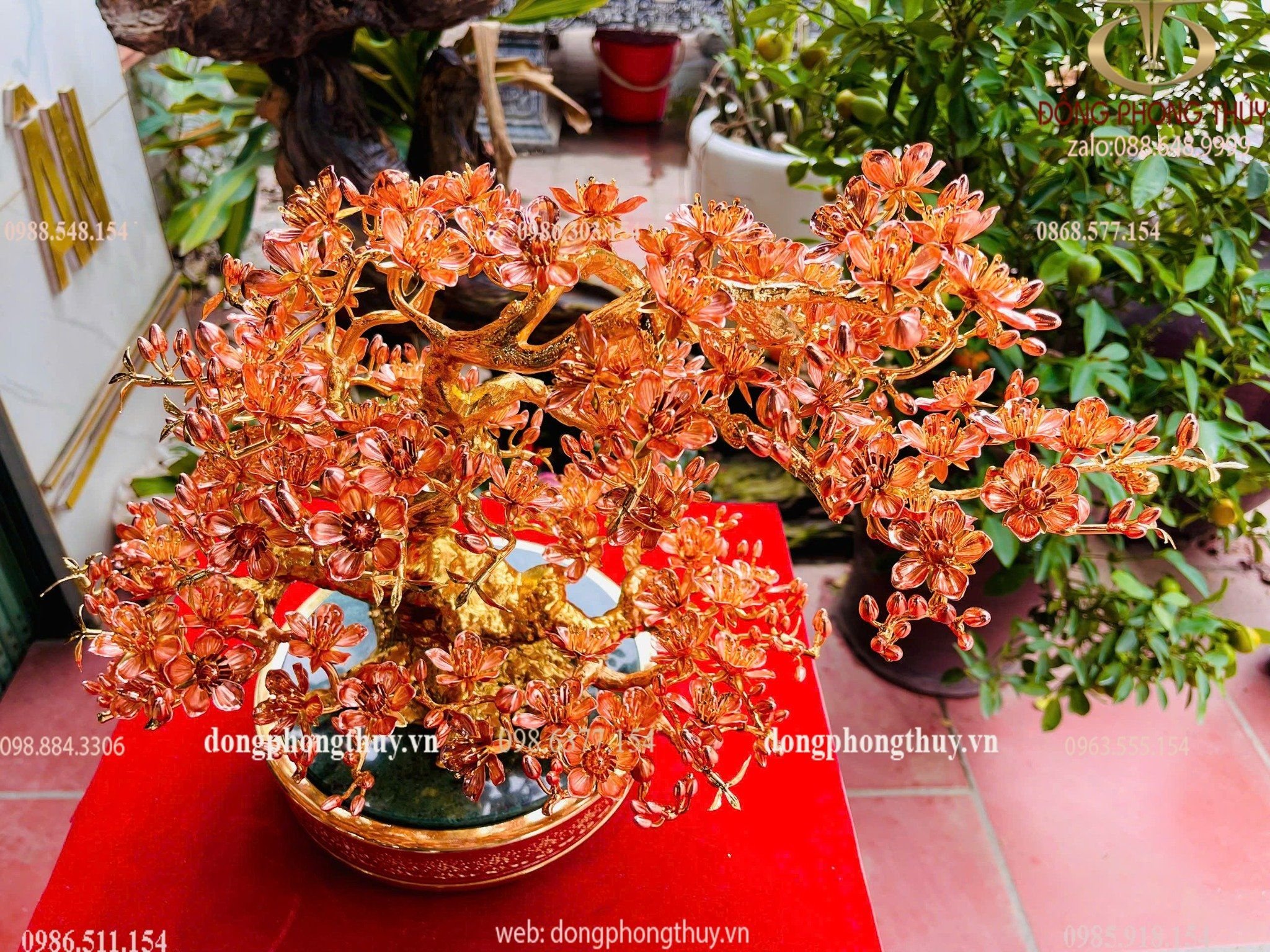 Hình ảnh sản phẩm