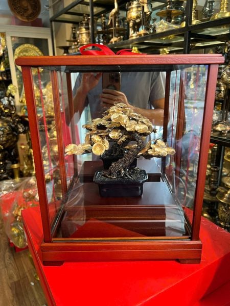 Cây tùng la hán bonsai mạ vàng 24k 17x29x35cm