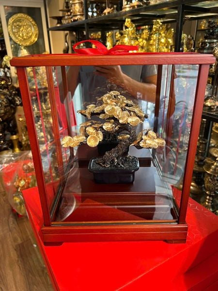 Cây tùng la hán bonsai mạ vàng 24k 17x29x35cm